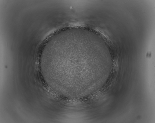 X0000090611254200707311215