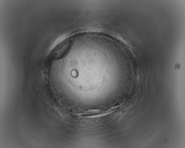 X0000090611255200707311215