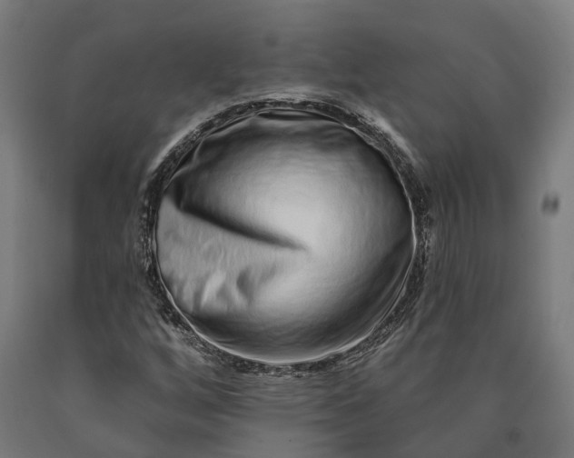 X0000090611256200707311215