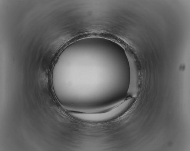 X0000090611257200707311215