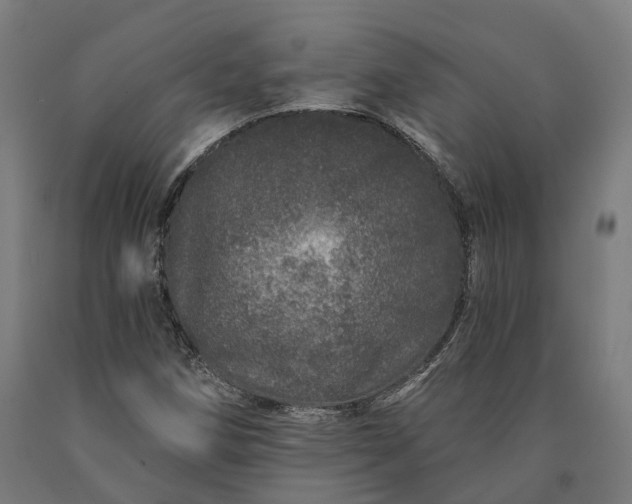 X0000090611258200707311215