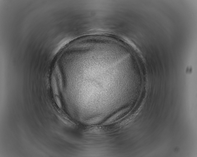 X0000090611259200707311215