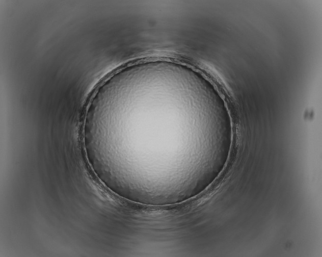 X0000090611260200707311215