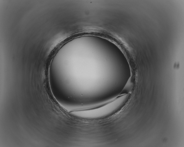 X0000090611261200707311215