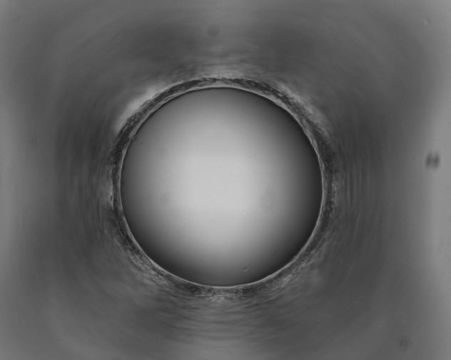 X0000090611262200707311215