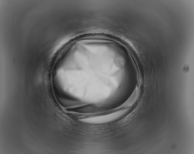 X0000090611263200707311215