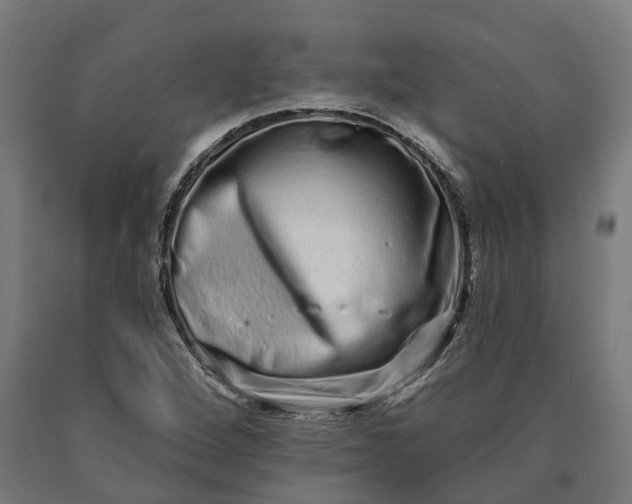 X0000090611264200707311215