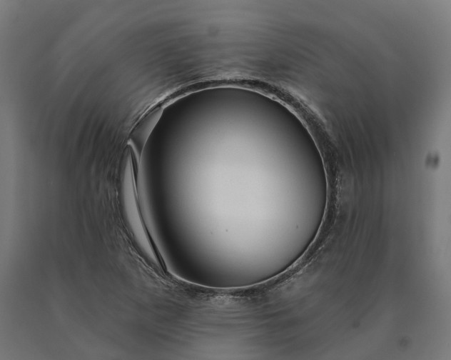 X0000090611265200707311215