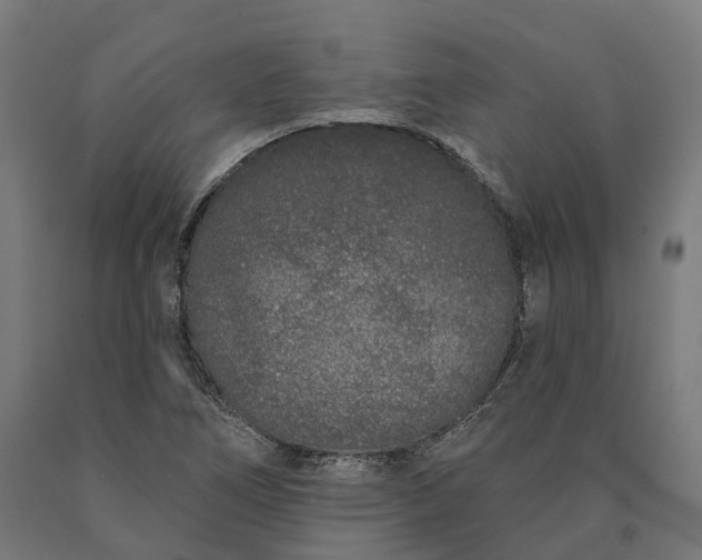 X0000090611266200707311215