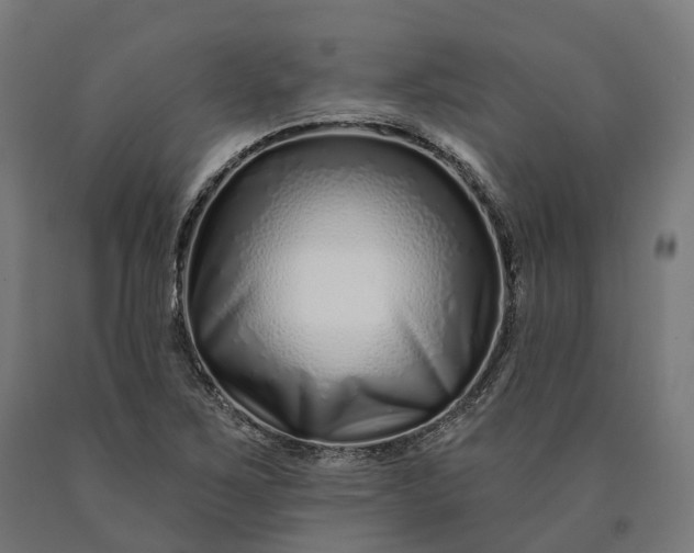 X0000090611267200707311215