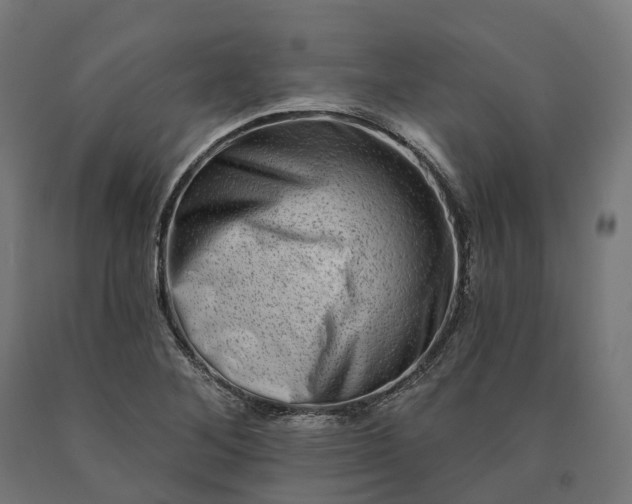 X0000090611268200707311215