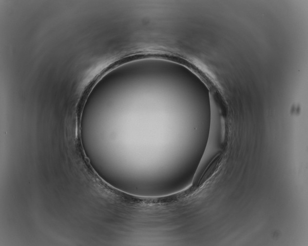 X0000090611269200707311214