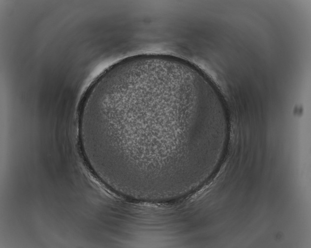 X0000090611270200707311214