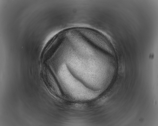 X0000090611271200707311214