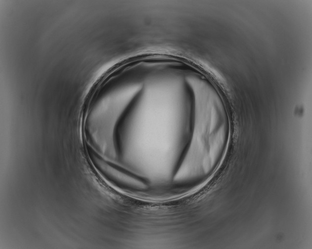 X0000090611272200707311214