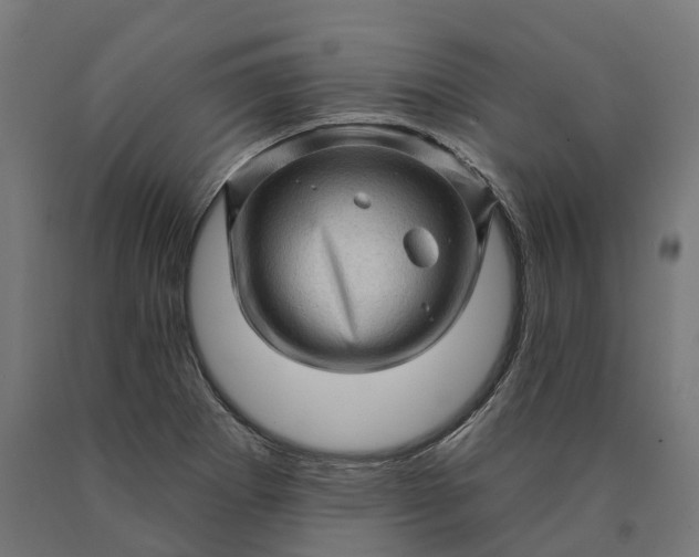 X0000090611273200707311214