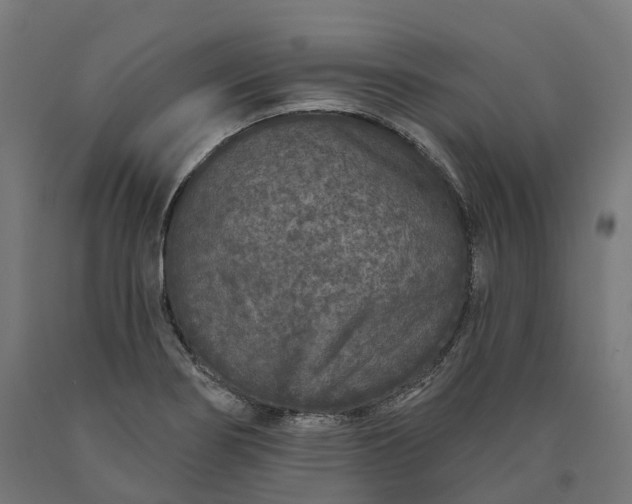 X0000090611274200707311214