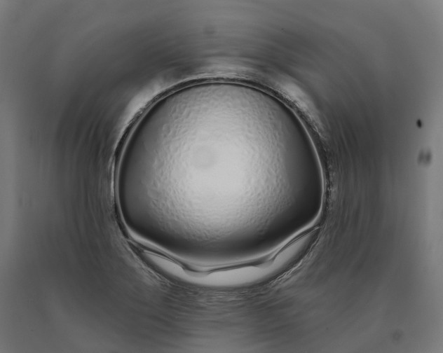 X0000090611275200707311214