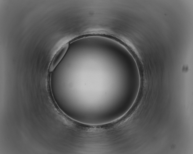 X0000090611277200707311214