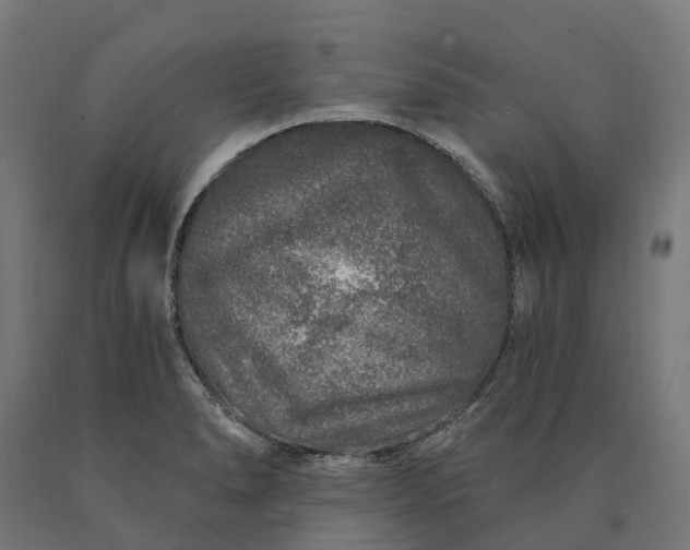 X0000090611278200707311214