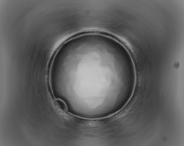 X0000090611279200707311214