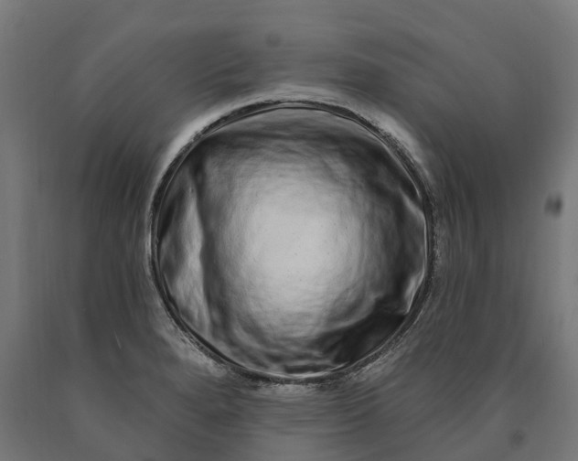 X0000090611280200707311214