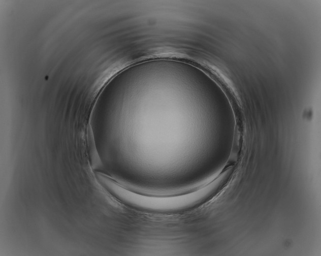 X0000090611281200707311214