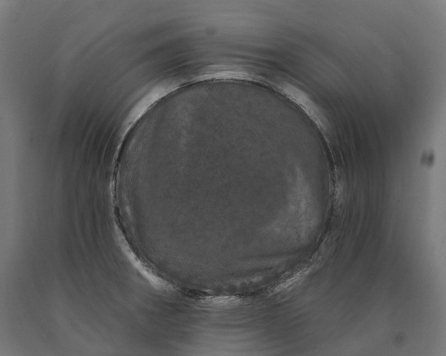 X0000090611282200707311214