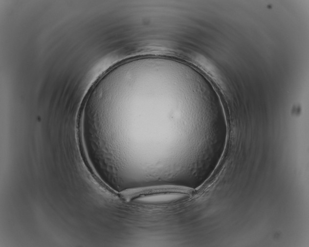 X0000090611283200707311214