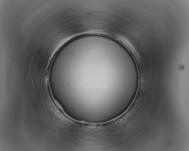 X0000090611284200707311214