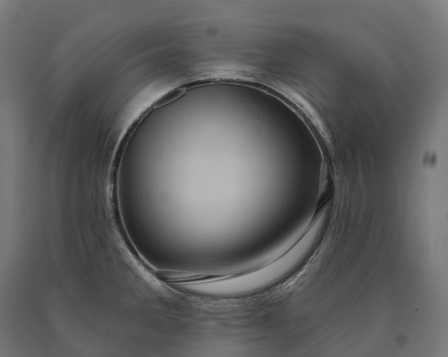 X0000090611285200707311214