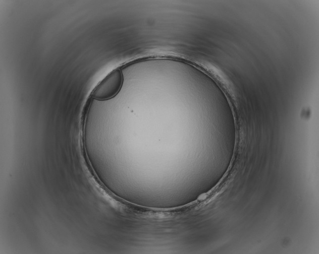 X0000090611286200707311214