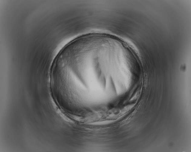 X0000090611287200707311214