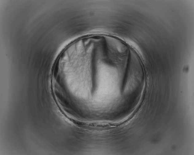 X0000090611288200707311214