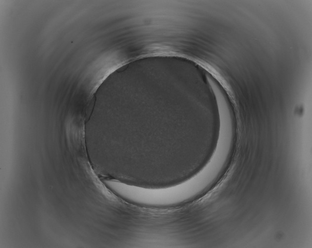 X0000090611289200707311214