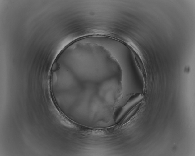 X0000090611291200707311214