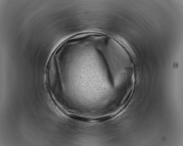 X0000090611292200707311214