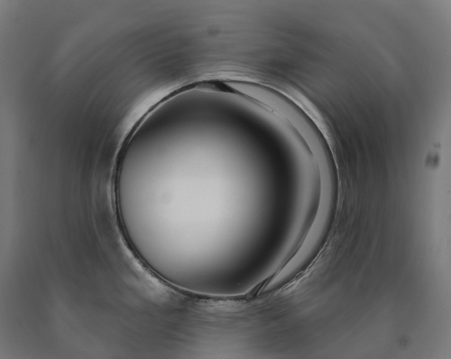 X0000090611293200707311214