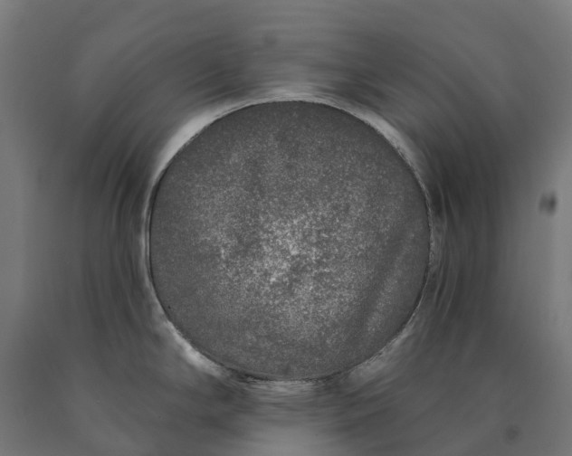 X0000090611294200707311214