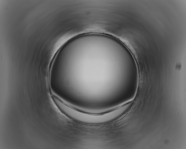 X0000090611295200707311214