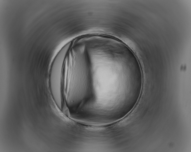 X0000090611296200707311214