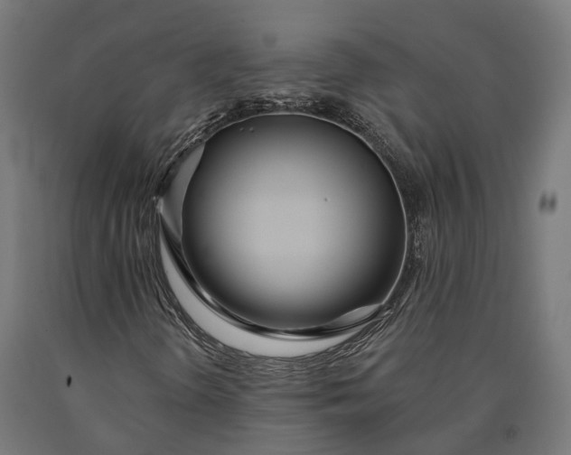 X0000090611298200707311214