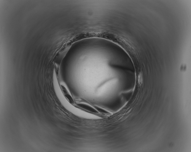 X0000090611299200707311214