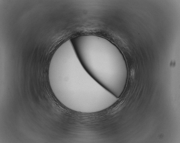 X0000090611300200707311214