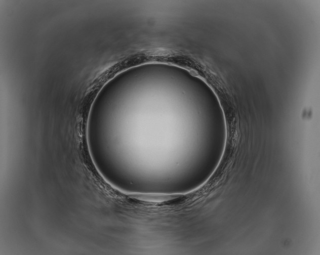 X0000090611301200707311214