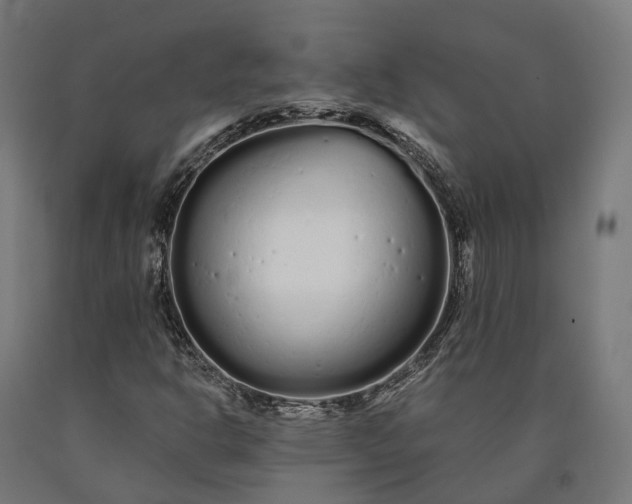 X0000090611302200707311214