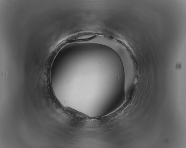 X0000090611304200707311214