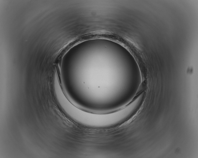 X0000090611305200707311214