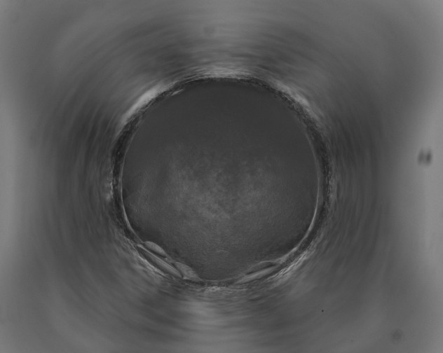 X0000090611306200707311214