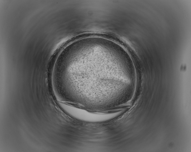 X0000090611307200707311214